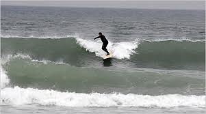 Surfing at Montauk Point, Montauk Point - Turtles