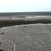 Himatangi Beach