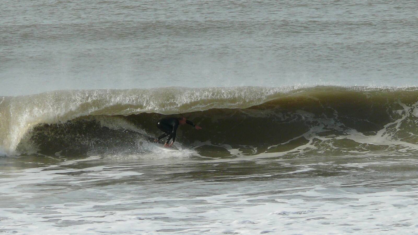 Tubaso en parador peche, Miramar