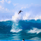 Good Friday Surfing, Bronte Beach