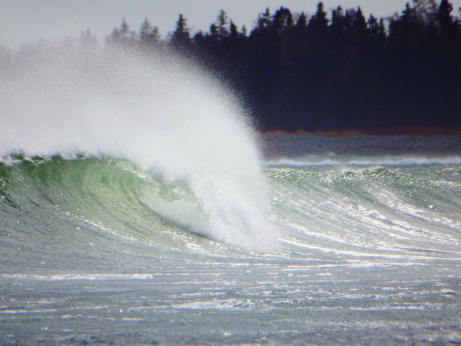 Spray flies, Cherry Hill