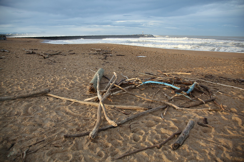 Drift Wood, Anglet - La Barre