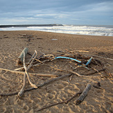 Drift Wood, Anglet - La Barre