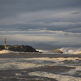 Bomby at la Barre, Anglet - La Barre