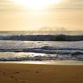 Gray Whale Cove