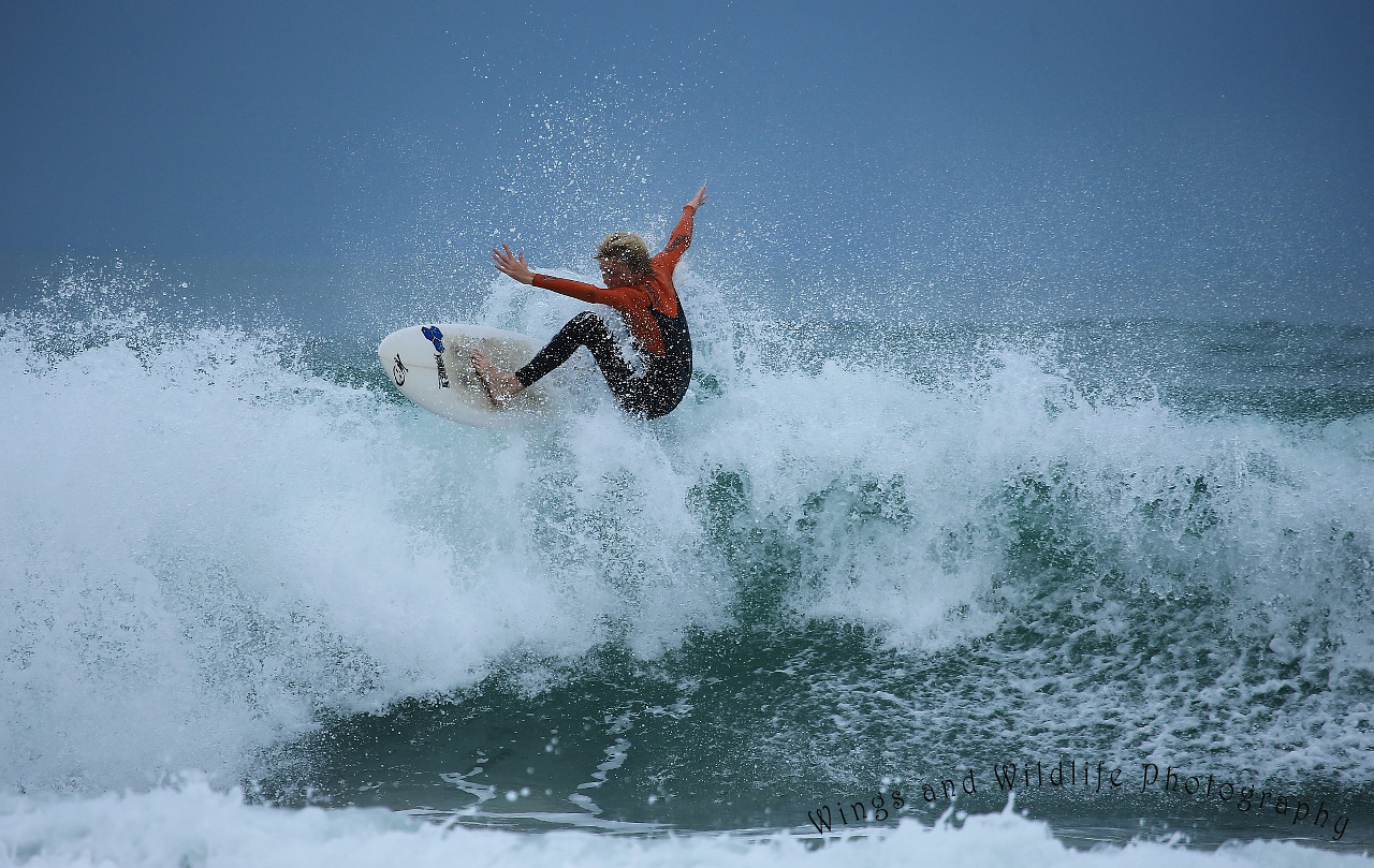 "Surf & Swell", Seaford Reef