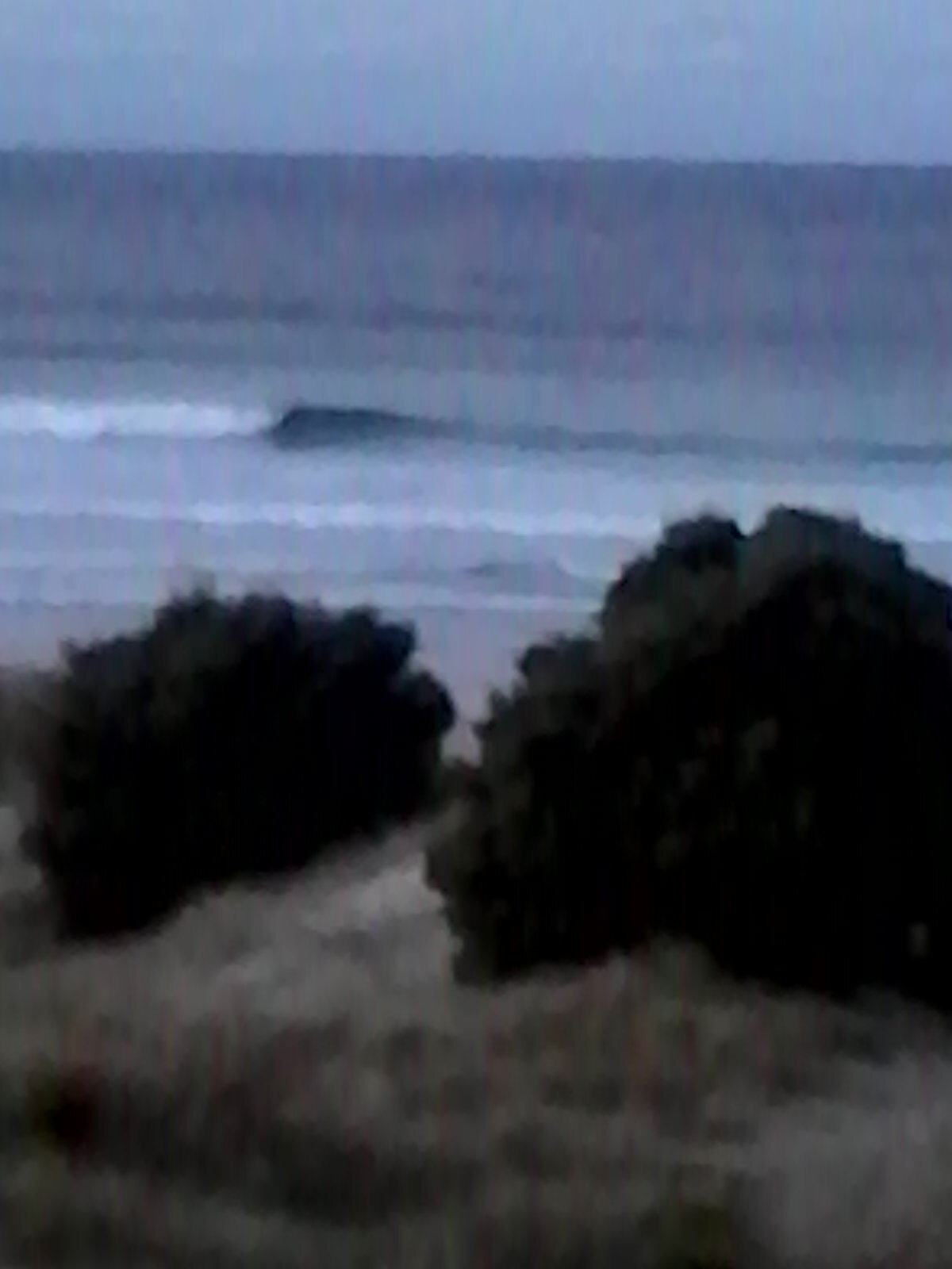 lefty, Ocean Beach (Whangarei)