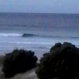 lefty, Ocean Beach (Whangarei)