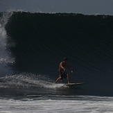 Bastien au Pal, Palplanche