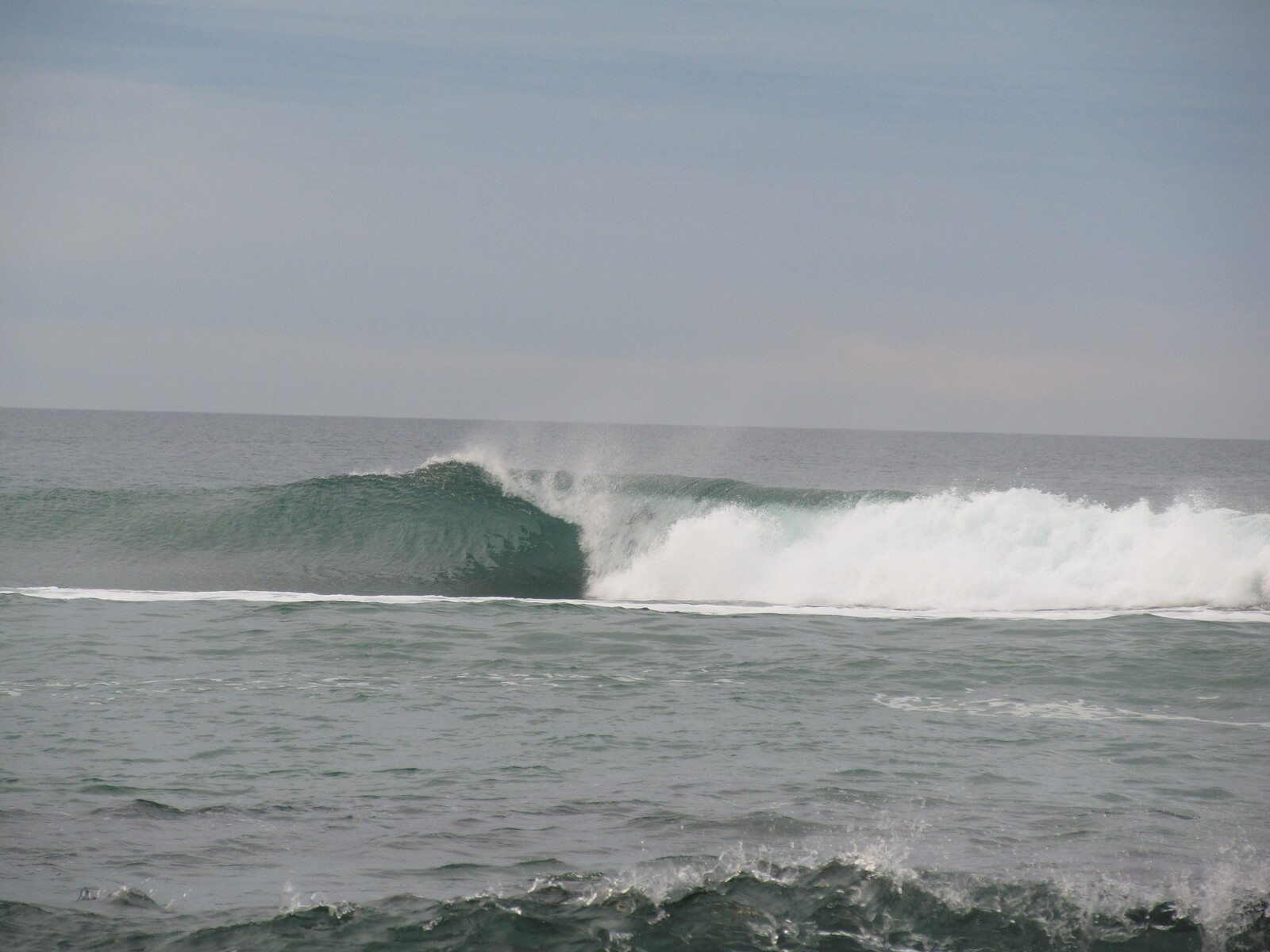 The rock - low tide, Bird Rock