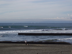 Kugenuma Kaigan 2011/11, Shonan photo