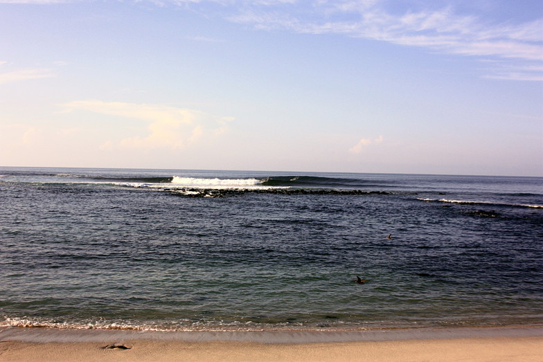 Galapagos surf, Loberia