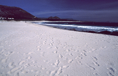 Playa de Larino