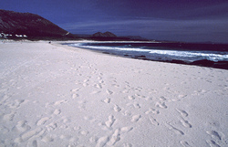 Playa de Larino photo