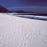 Playa de Larino