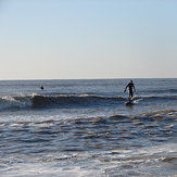 Bexhill Surf