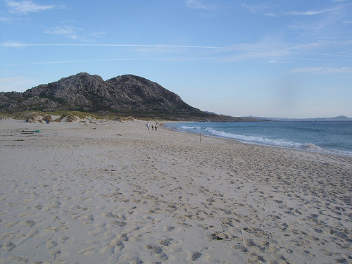 Louro (Playa Area Maior)