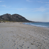 Louro (Playa Area Maior)