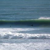 Paddling out at Wharariki, Wharariki Beach