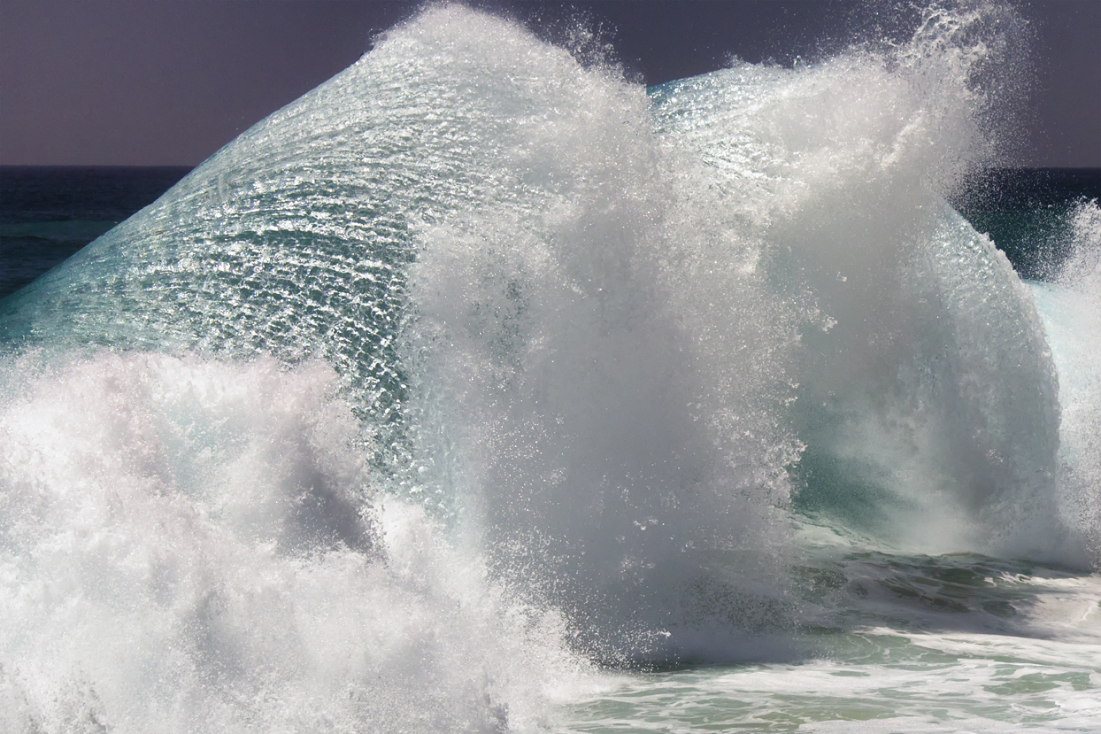 Shell Collecting, Laguna Beach