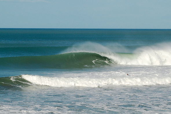 Pines, Wainui Beach - Pines