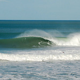 Pines, Wainui Beach - Pines