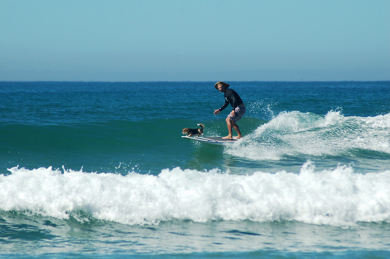 Makorori North surf break