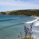 Tawharanui