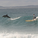 Crescent Head Surf