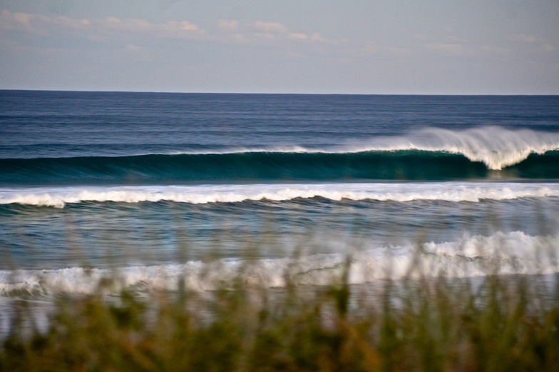 Through the Grass, Cabarita