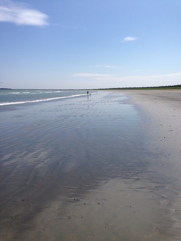 Michaud Point surf break