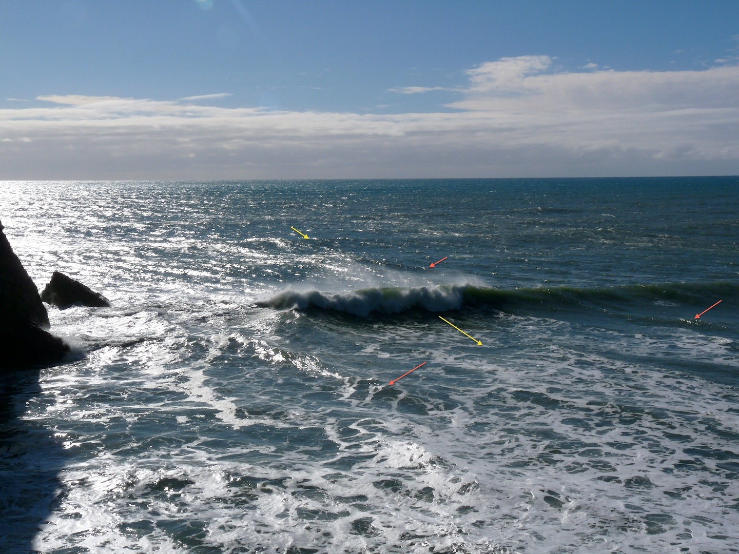 Two swells at Fletchers, Fletchers Beach