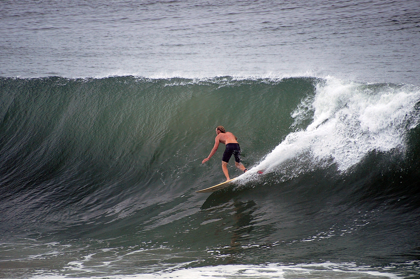 Matt Steinkamp, Topsail Island