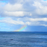 Rainbow surfing, Broad Cove