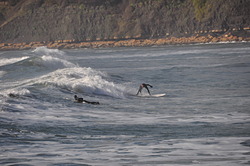 Kimmeridge Bay photo