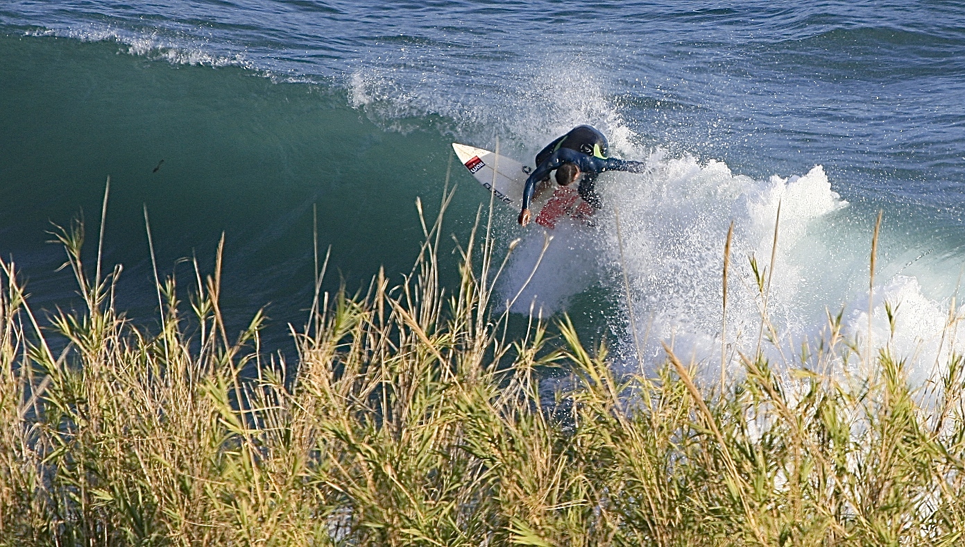 JSE LEIVA EL MOLINO, Molino de Papel