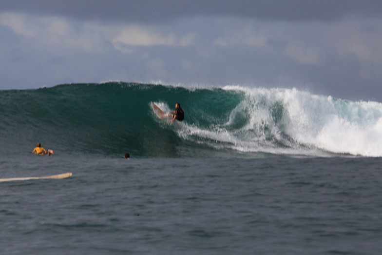 consistent swell, Gouaro