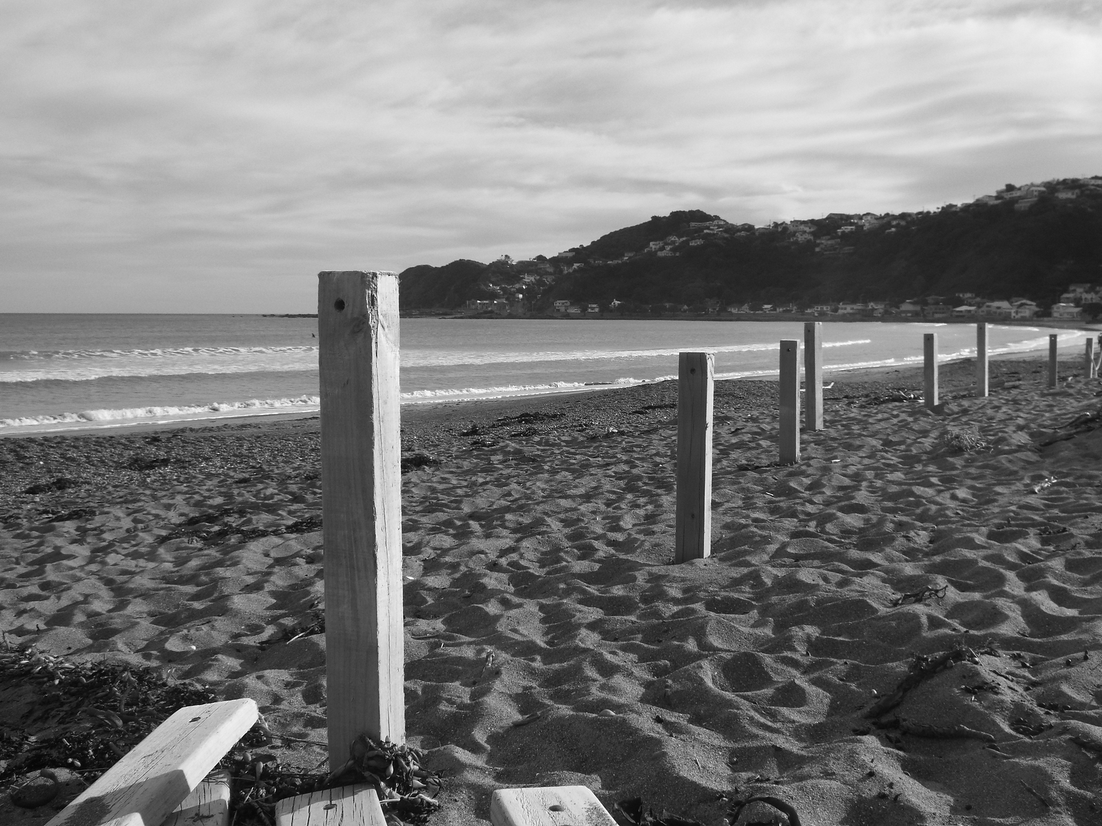 maranui, Lyall Bay