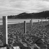 maranui, Lyall Bay