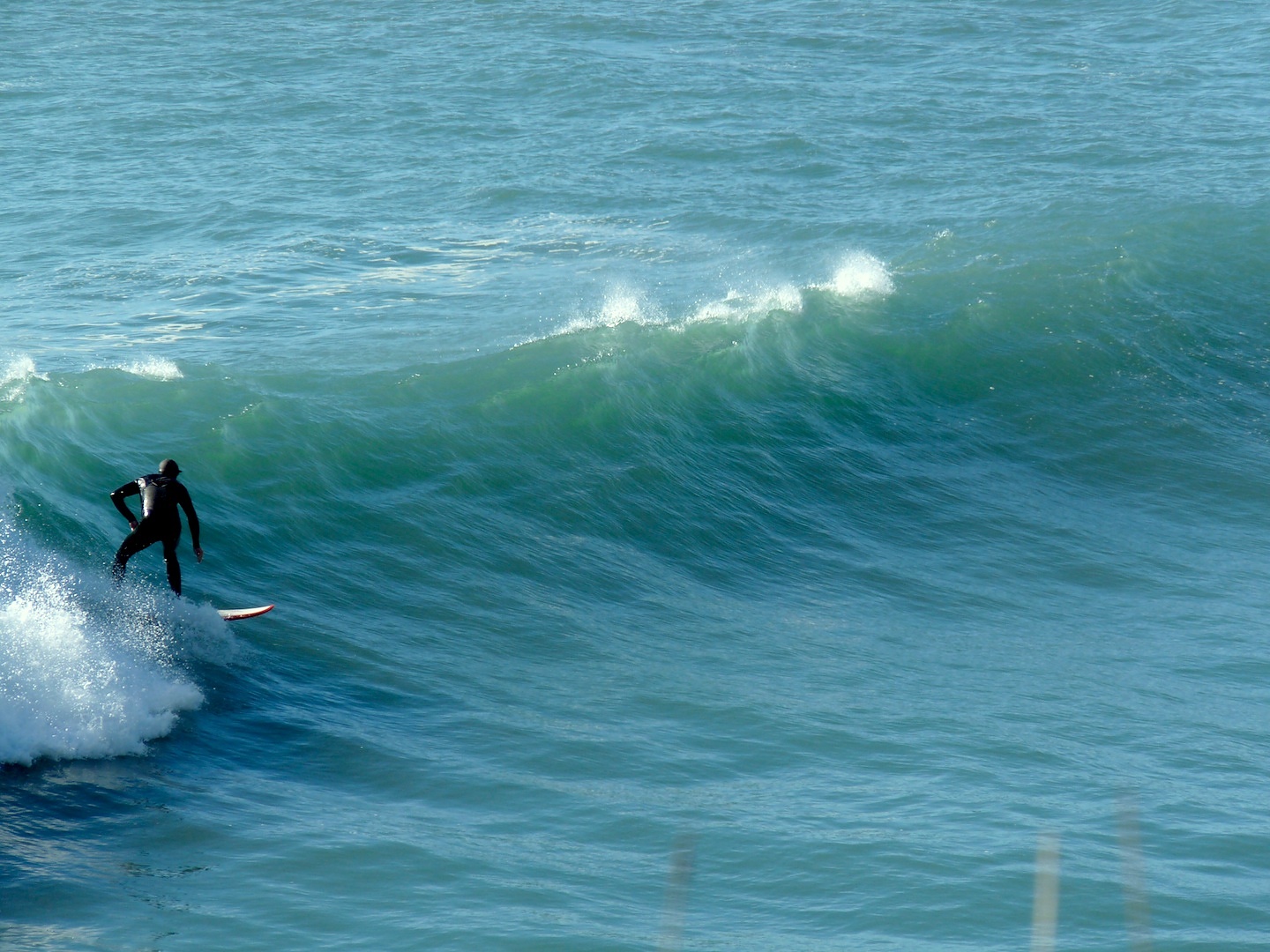 Shelter from the wind, Fletchers Beach