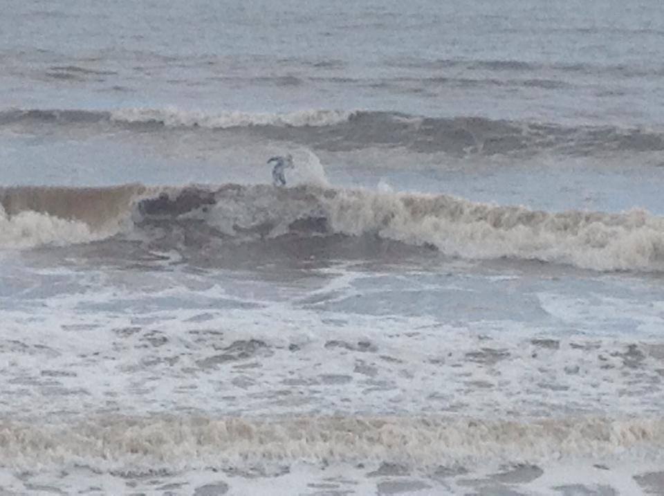 Local surfer, Withernsea