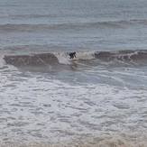 Local surfer, Withernsea