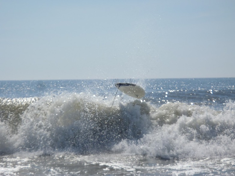 eatin it, Assateague