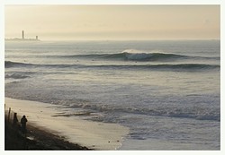 Ile de Re - Le lizay photo