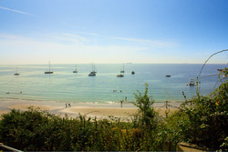 Whitecliff Bay photo