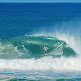 nobbys beach miami state high school