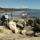 September Bird Rush, Princeton Breakwater