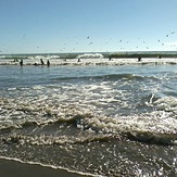 September Boogie Waves, Princeton Breakwater