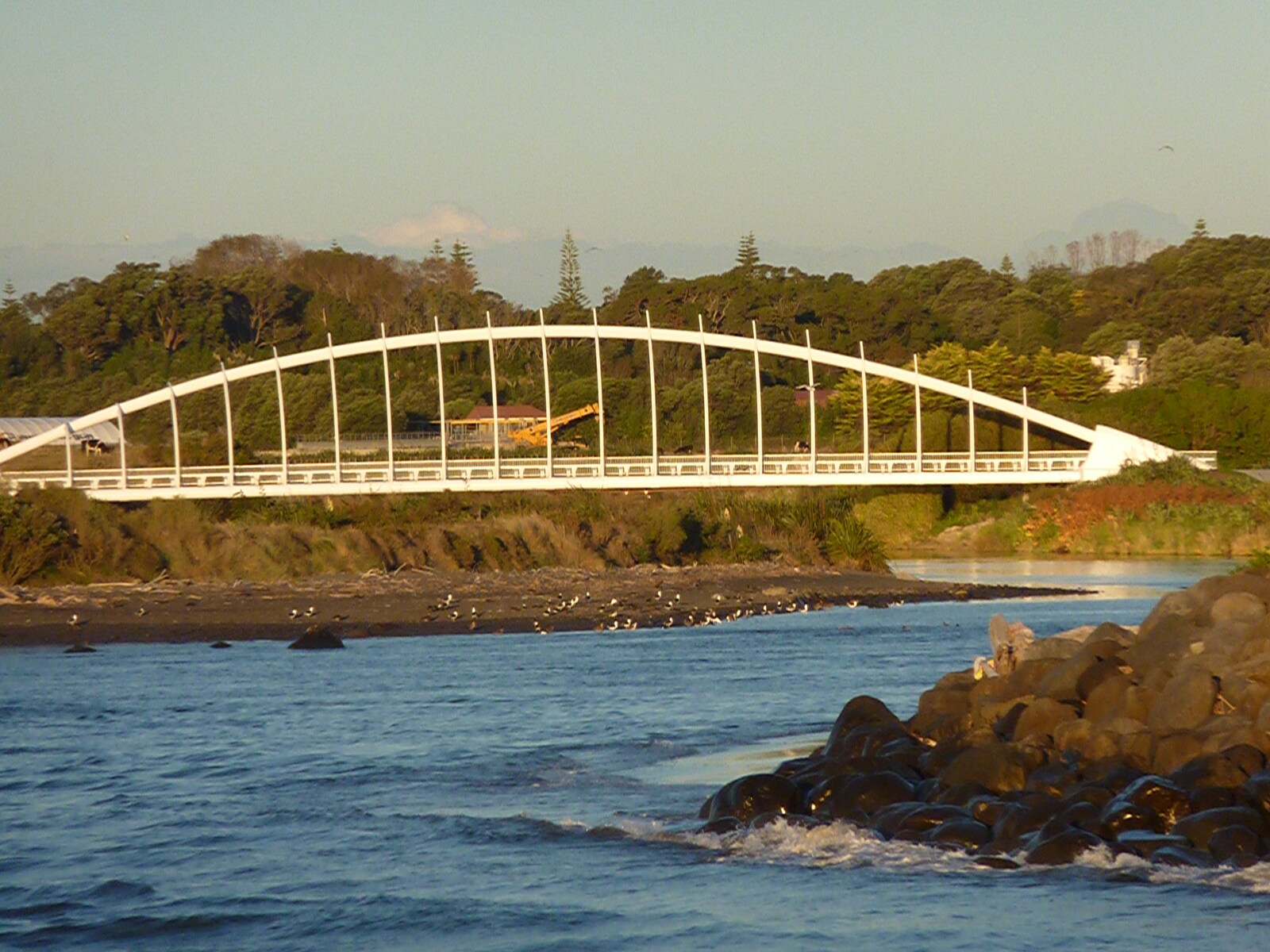 Wave bridge, Waiwakaiho