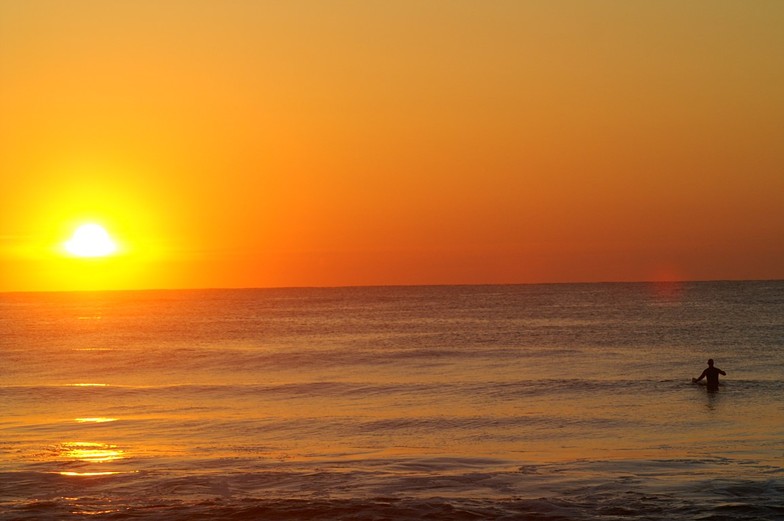 dawn patrol, Pelican Watch